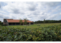 Recreatiepark Het Eperwoud met paard VMP029